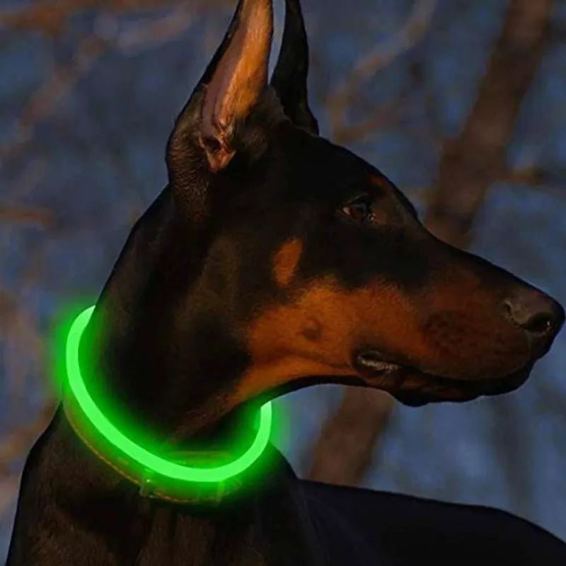 Led Light Dog Collar